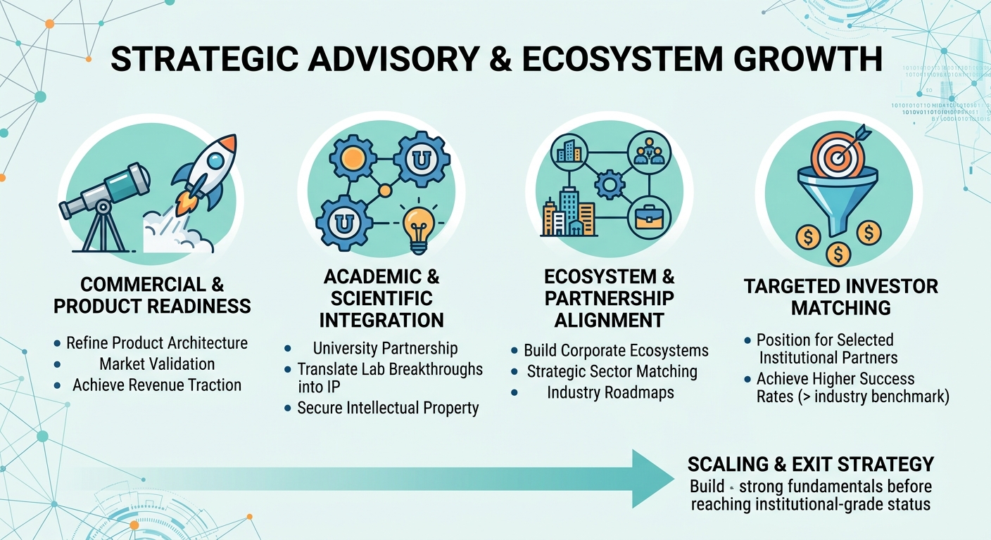 Strategic Advisory Beyond Traditional Venture Capital for Scale-Ups and Research Spin-Outs Finland